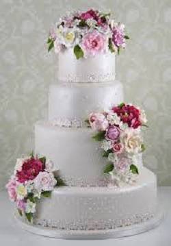 Panaderia Las Palomas | bakery | 814 S Wells Ave, Reno, NV 89502, USA | 7753231881 OR +1 775-323-1881