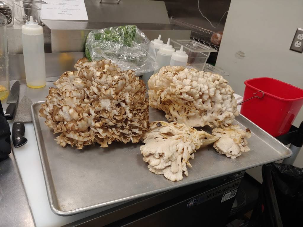 The Corner Joint | restaurant | 65 E College St, Oberlin, OH 44074, USA | 4407747977 OR +1 440-774-7977