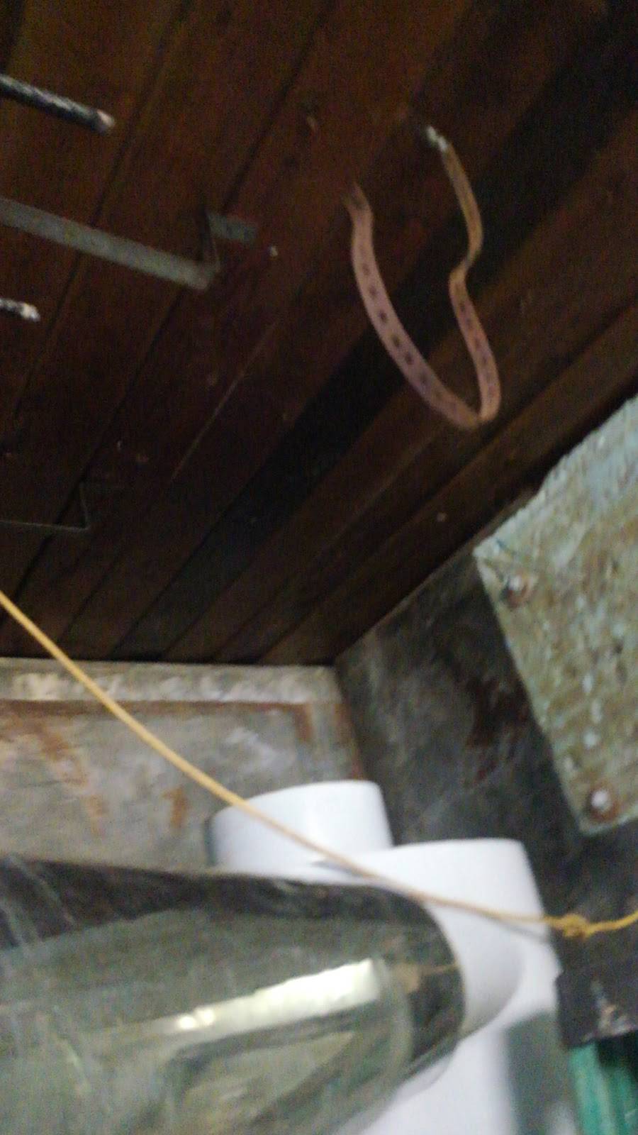 Yang Didi | restaurant | 183 Port Richmond Ave, Staten Island, NY 10302, USA | 7187279634 OR +1 718-727-9634