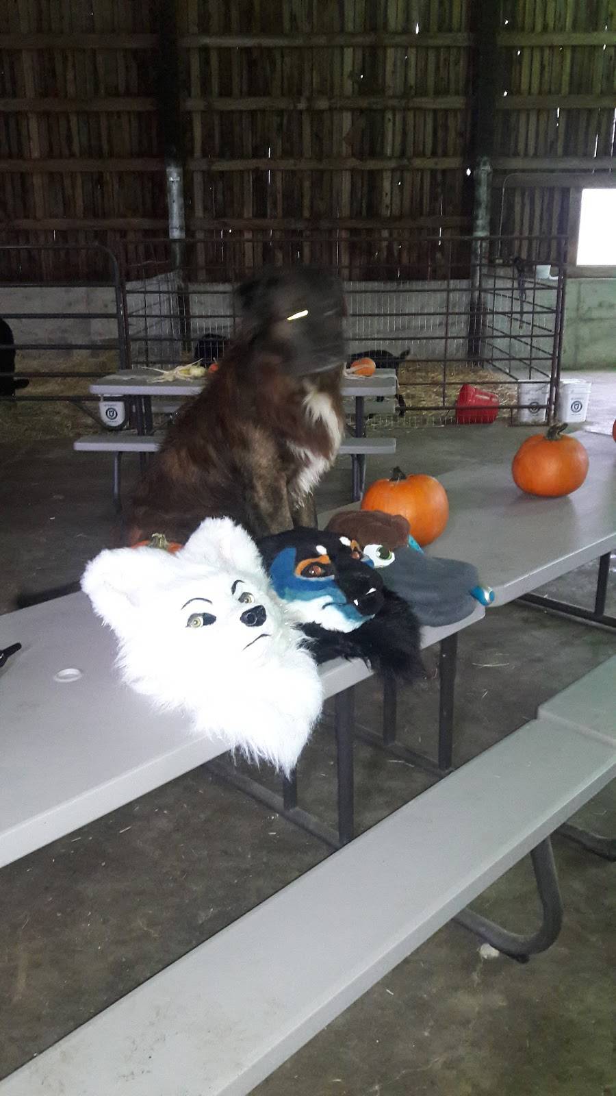 Osborn Dairy | restaurant | 1021 WA-6, Chehalis, WA 98532, USA | 3607487000 OR +1 360-748-7000