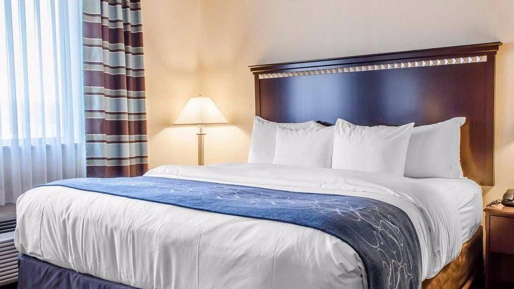 Comfort Suites | restaurant | 120 Plaza Dr, Bloomsburg, PA 17815, USA | 5703879100 OR +1 570-387-9100