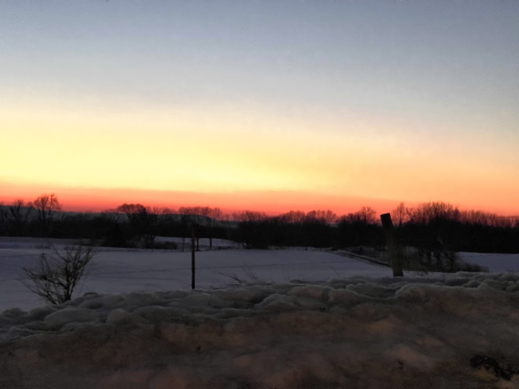 Principe Sandra | restaurant | 4998 W Blackjack Rd, Hanover, IL 61041, USA | 8157773105 OR +1 815-777-3105