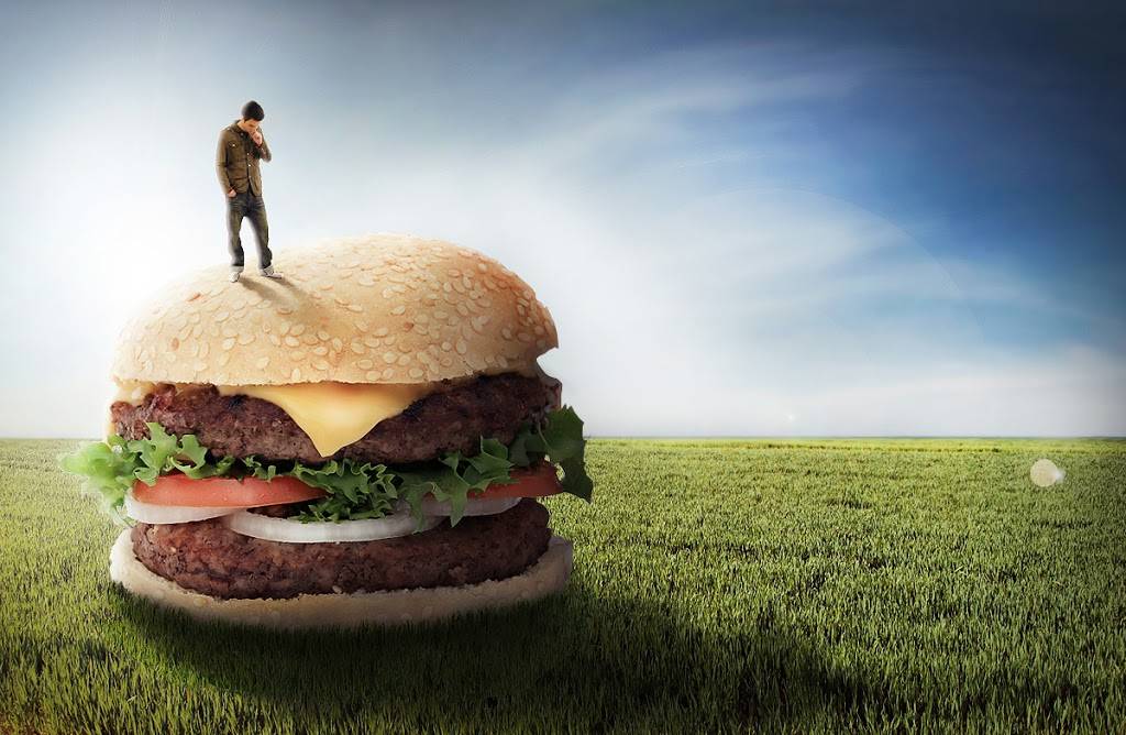 Burger Zone | restaurant | 1515 N Main St, Monticello, IN 47960, USA | 5745838179 OR +1 574-583-8179