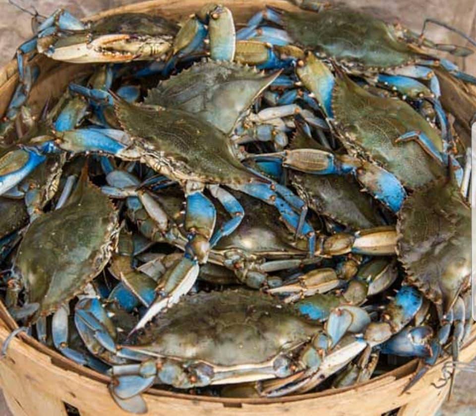 Crabs In A Bucket | restaurant | 119 Marion Oaks Blvd, Ocala, FL 34473, USA | 3522035883 OR +1 352-203-5883