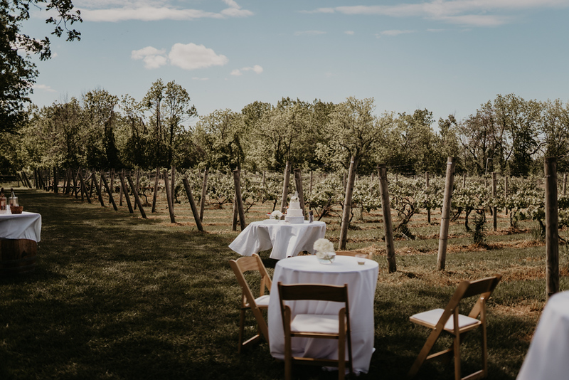 Deer Run Winery | cafe | 3772 W Lake Rd, Geneseo, NY 14454, USA | 5853460850 OR +1 585-346-0850