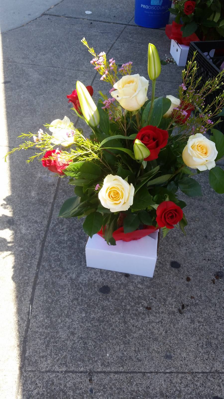 Angies Pizza Italian Restaurant | restaurant | 1535 S Winchester Blvd, San Jose, CA 95128, USA | 4083785555 OR +1 408-378-5555