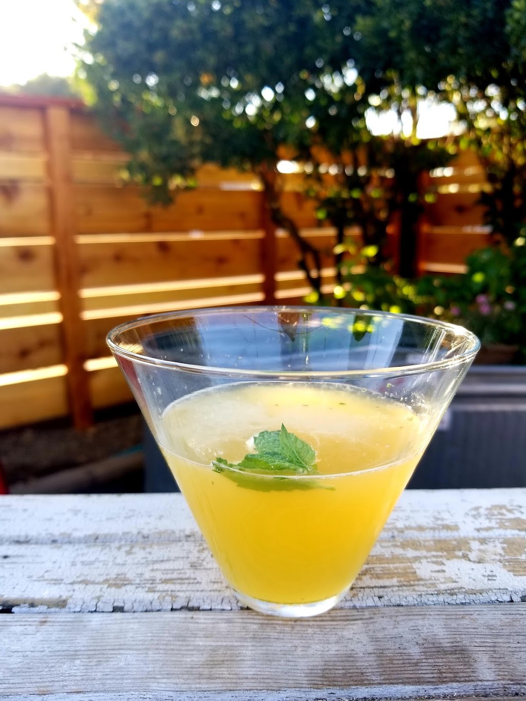 Starling Bar Sonoma | restaurant | 19380 CA-12, Sonoma, CA 95476, USA | 7079387442 OR +1 707-938-7442