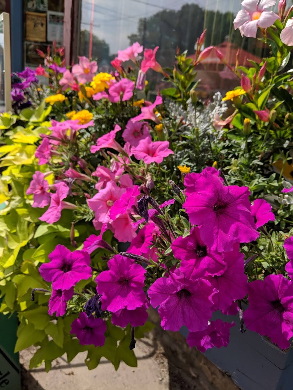 Angelinas Submarine Shops | meal takeaway | 657 Main St, Dalton, MA 01226, USA | 4136841178 OR +1 413-684-1178