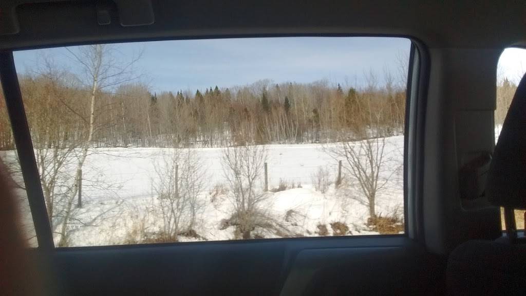 LErablière Du Mont St-Michel | restaurant | 2700 Bd des Bois-Francs S, Victoriaville, QC G6P 6S2, Canada | 8193575050 OR +1 819-357-5050