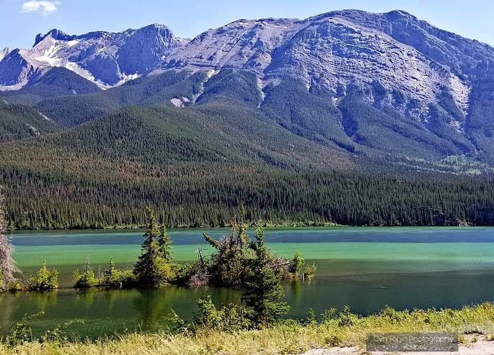 Blue Moon Bar & Grill | restaurant | 908 Main St, Hamburg, IA 51640, USA | 7123821323 OR +1 712-382-1323