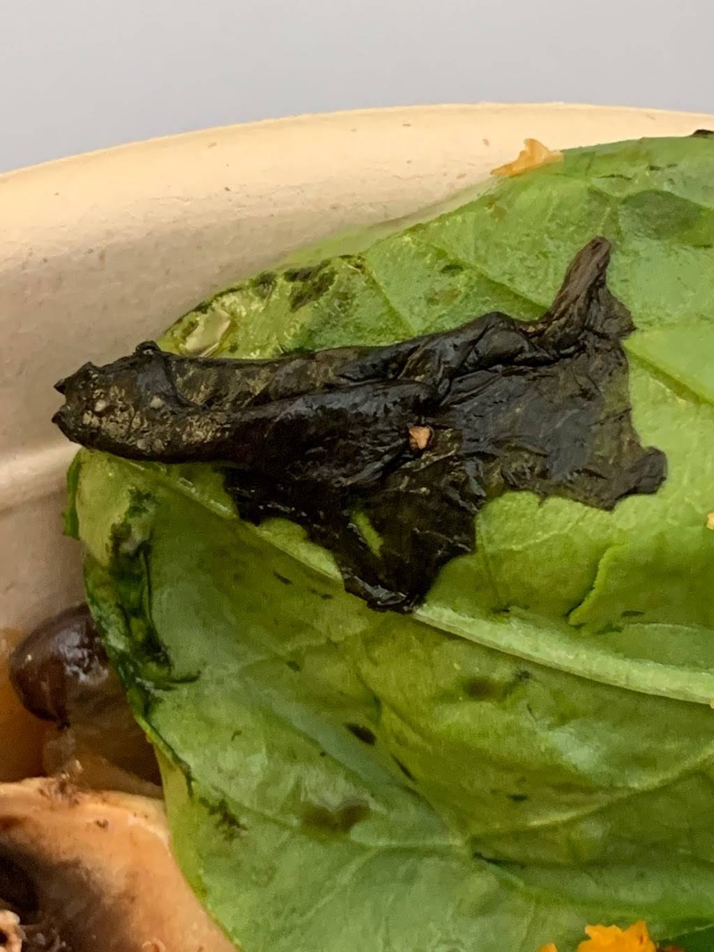 Which Wich Dallas Galleria | restaurant | 13350 Dallas Pkwy #3425, Dallas, TX 75240, USA | 2142729999 OR +1 214-272-9999