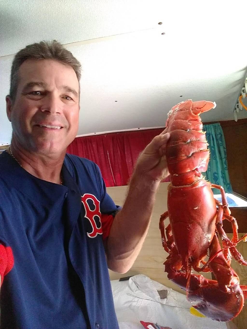 Nauset Fish & Lobster Pool | restaurant | 38 MA-6A, Orleans, MA 02653, USA | 5082551019 OR +1 508-255-1019