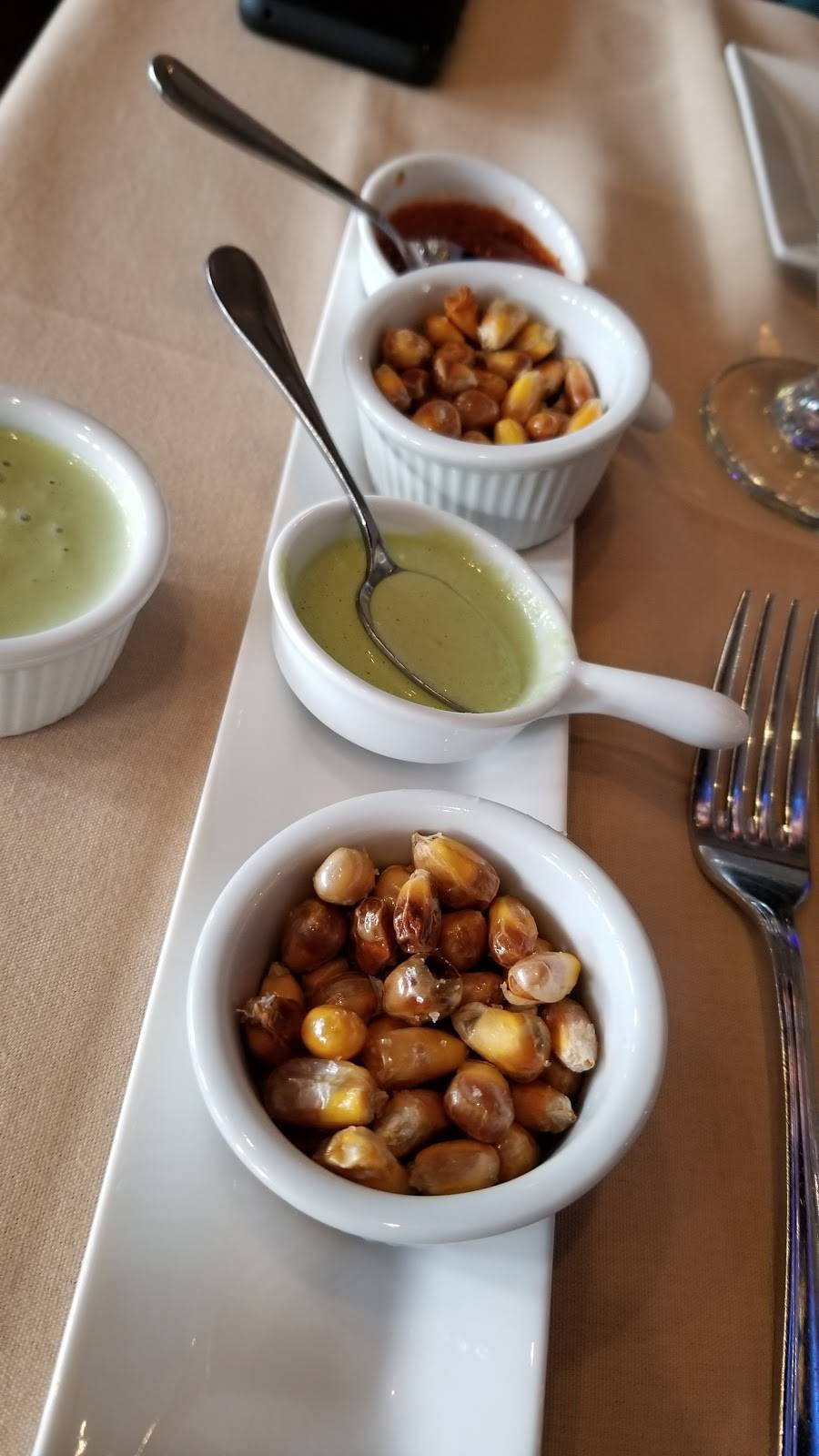 Jalea Peruvian Cuisine | restaurant | 251 W Old Country Rd, Hicksville, NY 11801, USA | 5166052251 OR +1 516-605-2251