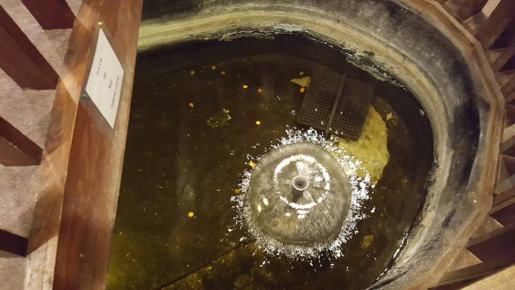 House of Tokyo | restaurant | 172 Melody Ave, Greenwood, IN 46142, USA | 3178896037 OR +1 317-889-6037