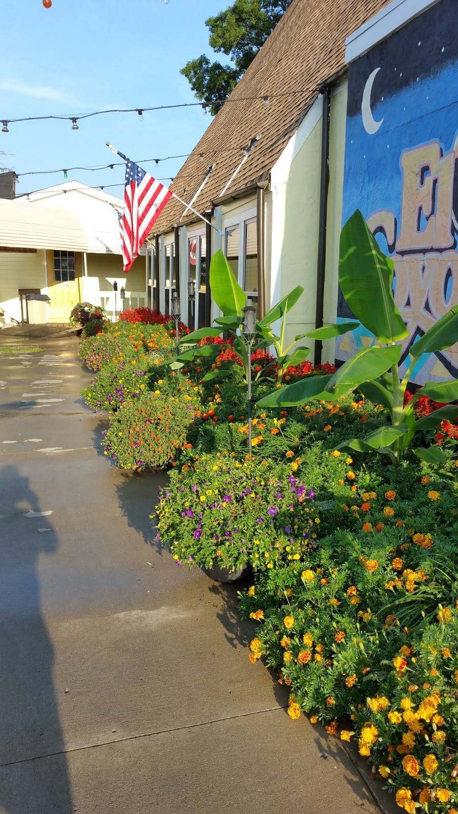 El Coyote | restaurant | 7404 State Rd, Cincinnati, OH 45230, USA | 5132325757 OR +1 513-232-5757