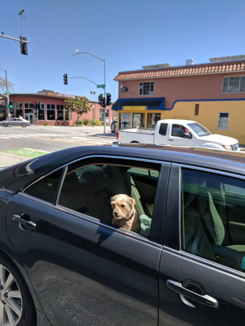 Taqueria Jalapeños | restaurant | 206 Laurel St, Santa Cruz, CA 95060, USA | 8314570159 OR +1 831-457-0159