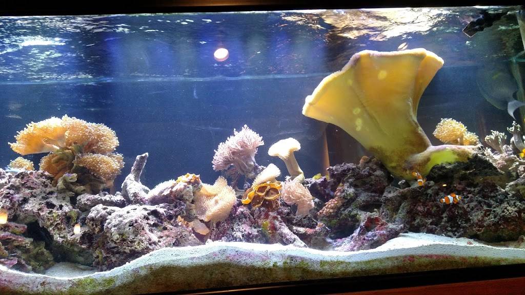 Fins Seafood & Grille | restaurant | 1801 Broad Ave, Findlay, OH 45840, USA | 4194291900 OR +1 419-429-1900