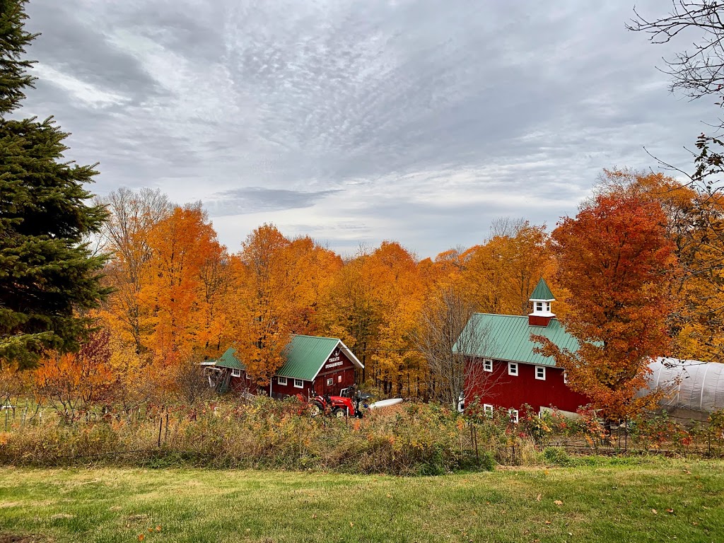 Treats Sugarhouse | restaurant | 3 Hop Kiln Rd, Bow, NH 03304, USA | 6034961671 OR +1 603-496-1671