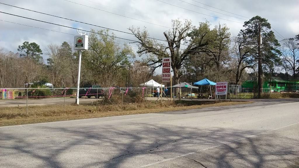 Z Z Gator Cove | restaurant | 733 Hamblen Rd, Kingwood, TX 77339, USA | 2813592200 OR +1 281-359-2200