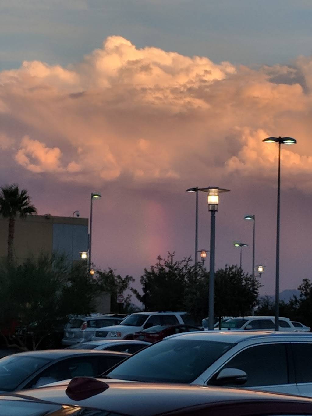 Panda Express | restaurant | 11010 Lavender Hill Dr Suite #100, Las Vegas, NV 89135, USA | 7022338316 OR +1 702-233-8316