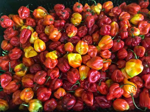 Forney First African Market | restaurant | 11511 Walnut Ln suite 150, Forney, TX 75126, USA | 2147797424 OR +1 214-779-7424