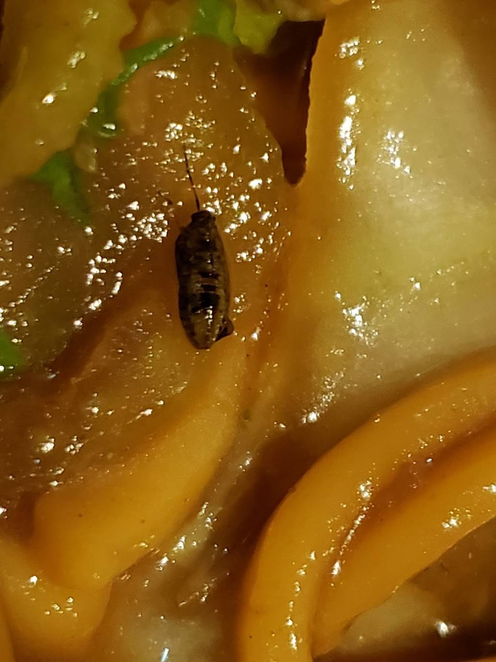 Dragon China | restaurant | 5851 Buffington Rd, Atlanta, GA 30349, USA | 4045596111 OR +1 404-559-6111