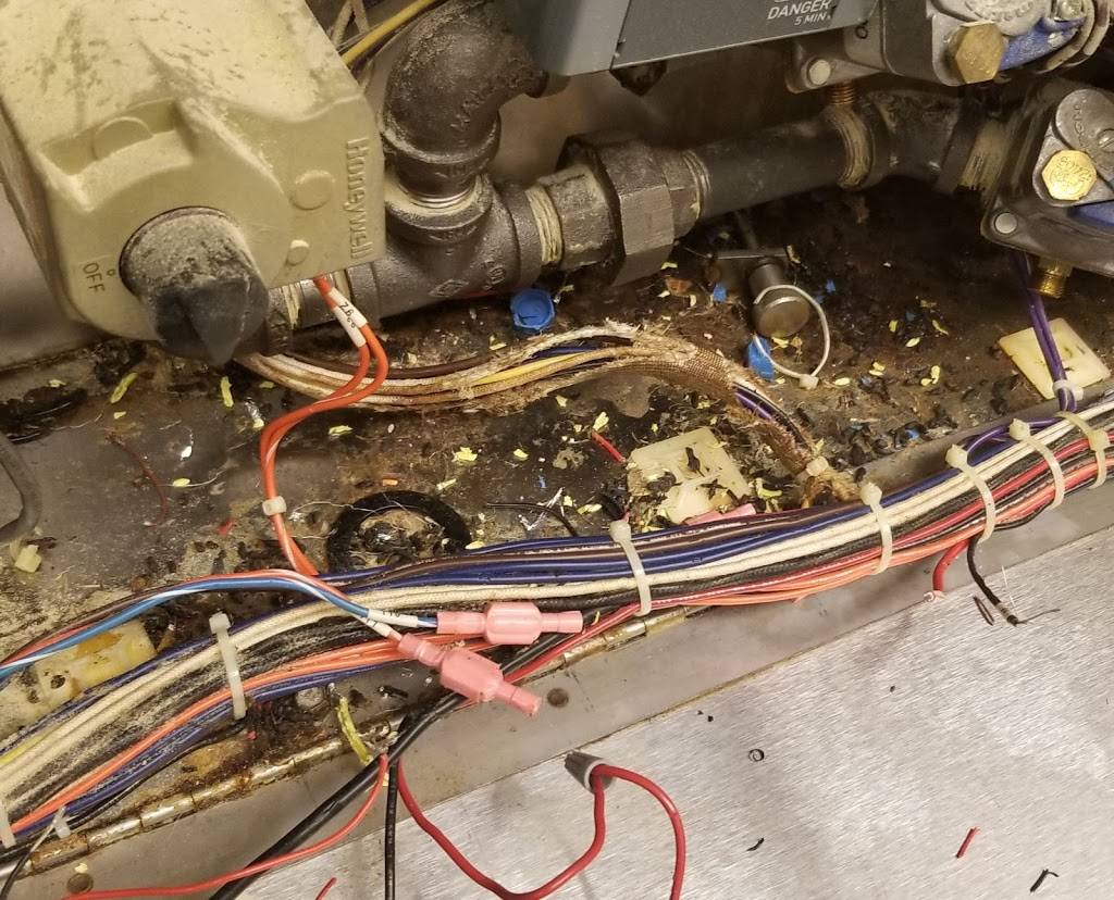 Papa Johns Pizza | restaurant | 28 Camp Rd Ext Ste 110, Jasper, GA 30143, USA | 7062537272 OR +1 706-253-7272