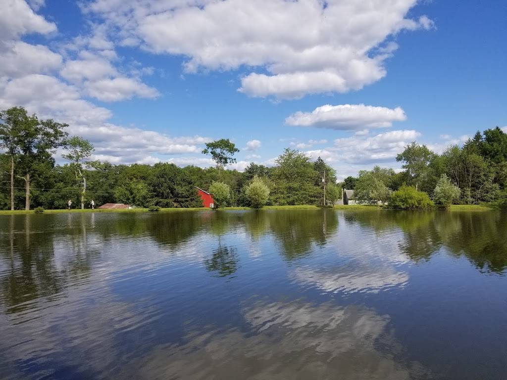 Memorytown USA | restaurant | 432 Grange Rd, Mt Pocono, PA 18344, USA | 5708391680 OR +1 570-839-1680