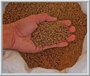 Blue Creek General Store | restaurant | 21309 OH-125, Blue Creek, OH 45616, USA | 9375445147 OR +1 937-544-5147