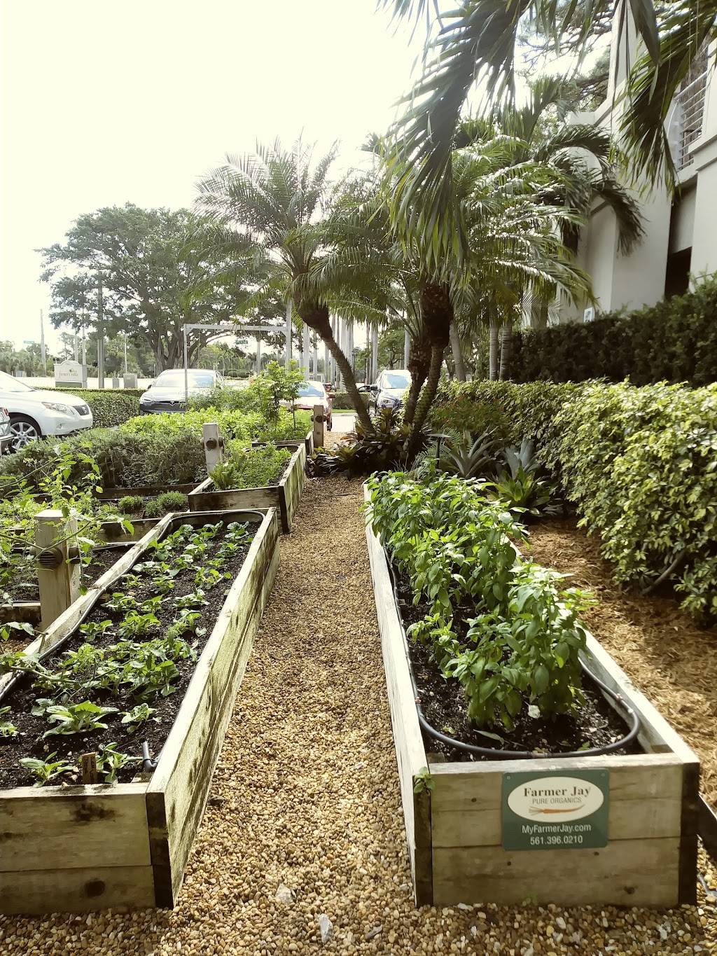 Farmers Table | restaurant | 1901 N Military Trl, Boca Raton, FL 33431, USA | 5614175836 OR +1 561-417-5836