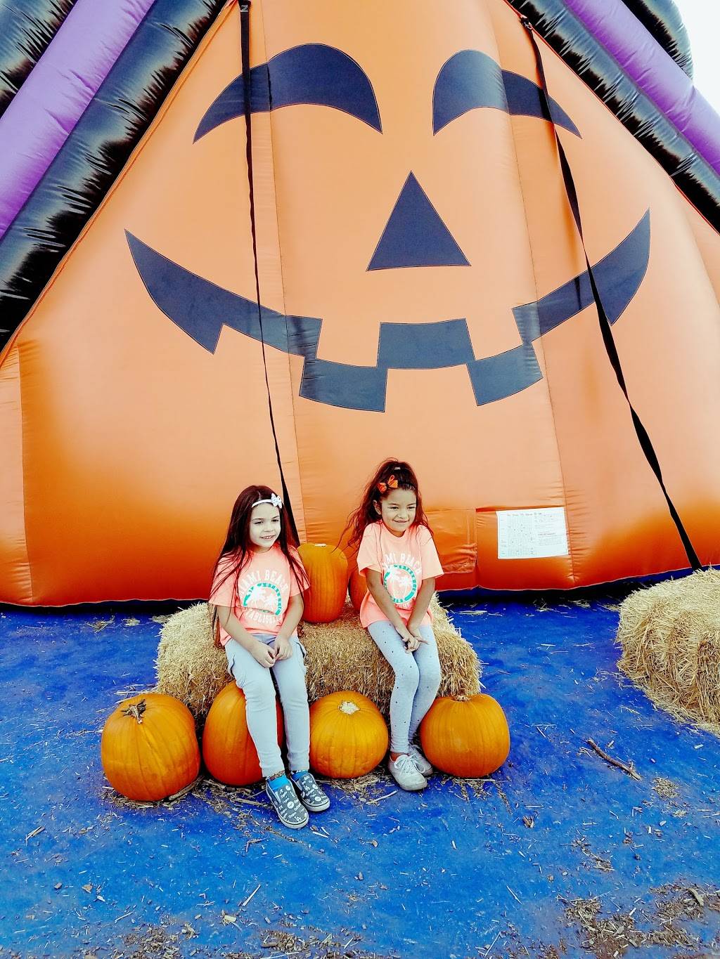 Carls Jr. | restaurant | 852 W Ave L, Lancaster, CA 93534, USA | 6619483165 OR +1 661-948-3165