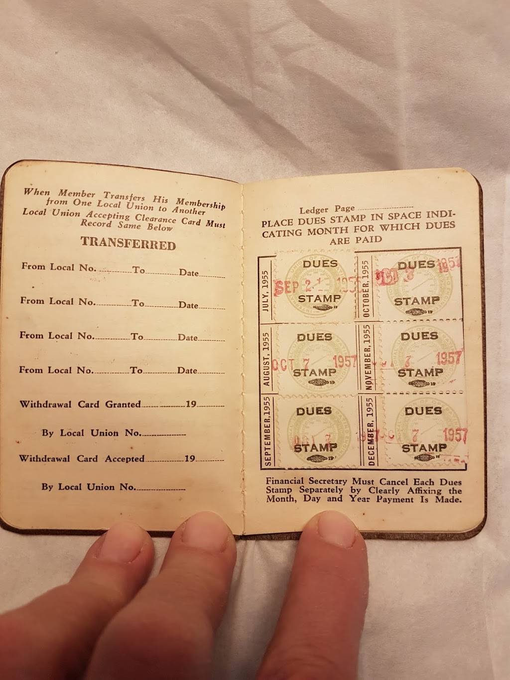 Jimmy The Greek | restaurant | Sheppard Centre, 4841 Yonge St, North York, ON M2N 5X9, Canada | 4162265290 OR +1 416-226-5290