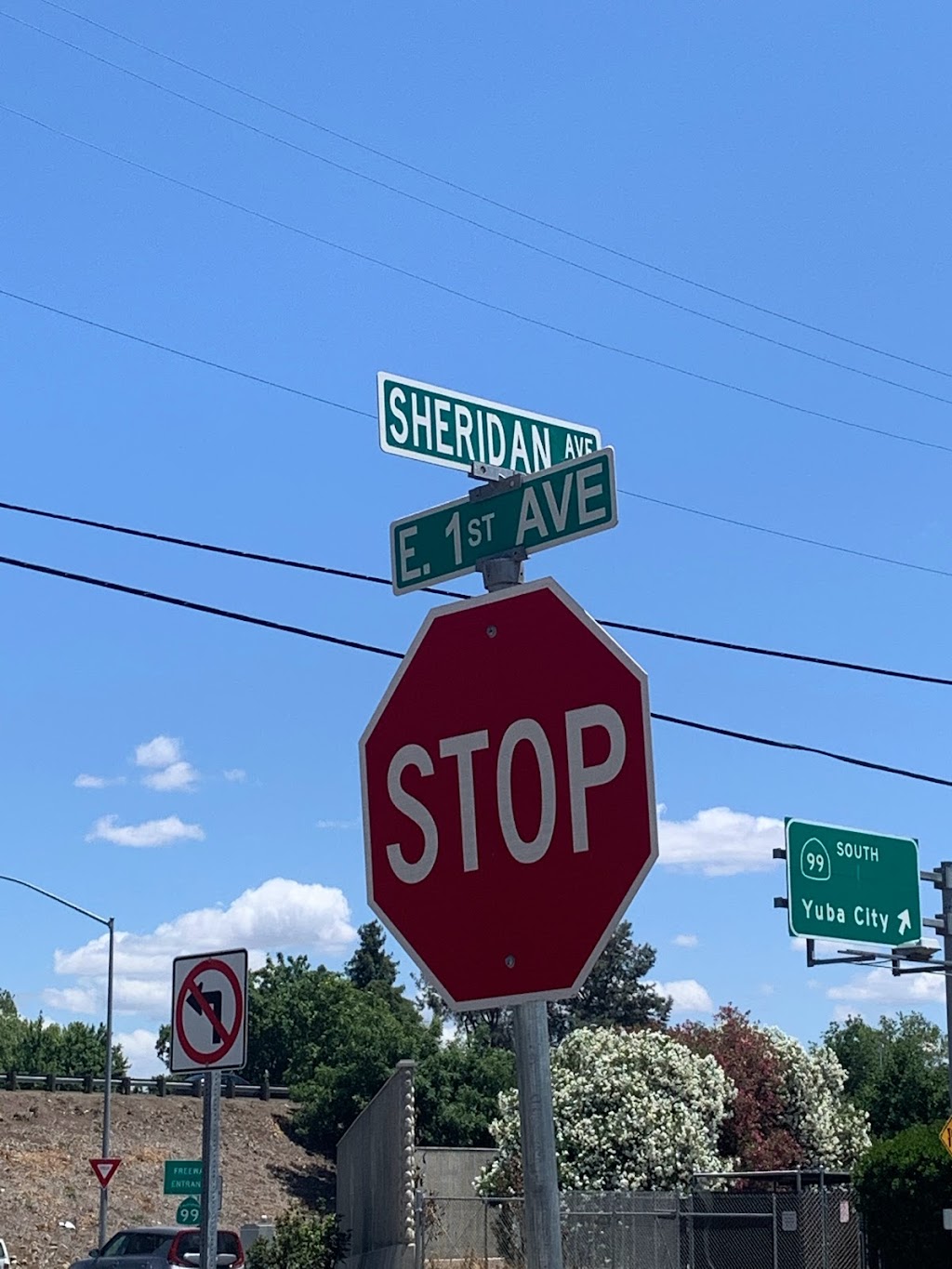 Ej’s | restaurant | 996 E 1st Ave, Chico, CA 95926, USA | 5305144494 OR +1 530-514-4494