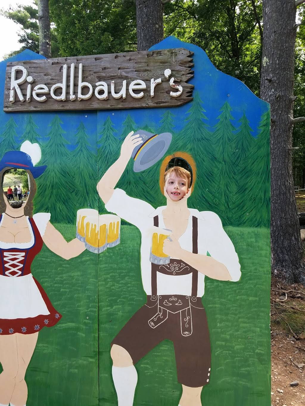 Nussys | restaurant | 57 Ravine Dr, Round Top, NY 12473, USA | 5186229584 OR +1 518-622-9584