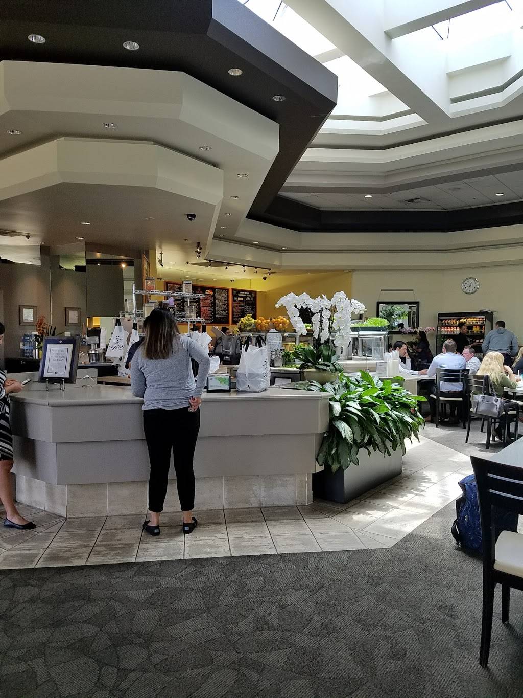 Cafe Vida - South Bay | restaurant | 2250 Park Pl, El Segundo, CA 90245, USA | 3106436205 OR +1 310-643-6205