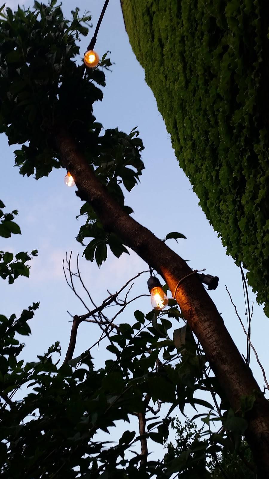 Quaint | restaurant | 46-10 Skillman Ave, Sunnyside, NY 11104, USA | 9177799220 OR +1 917-779-9220