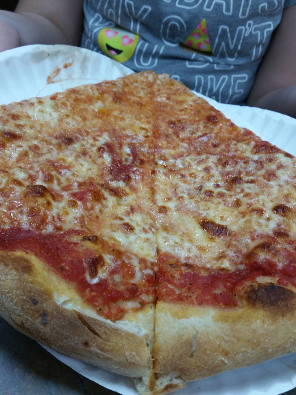 Paladinos Pizza | restaurant | 231 Northern Lights Plaza, Syracuse, NY 13212, USA | 3154556477 OR +1 315-455-6477