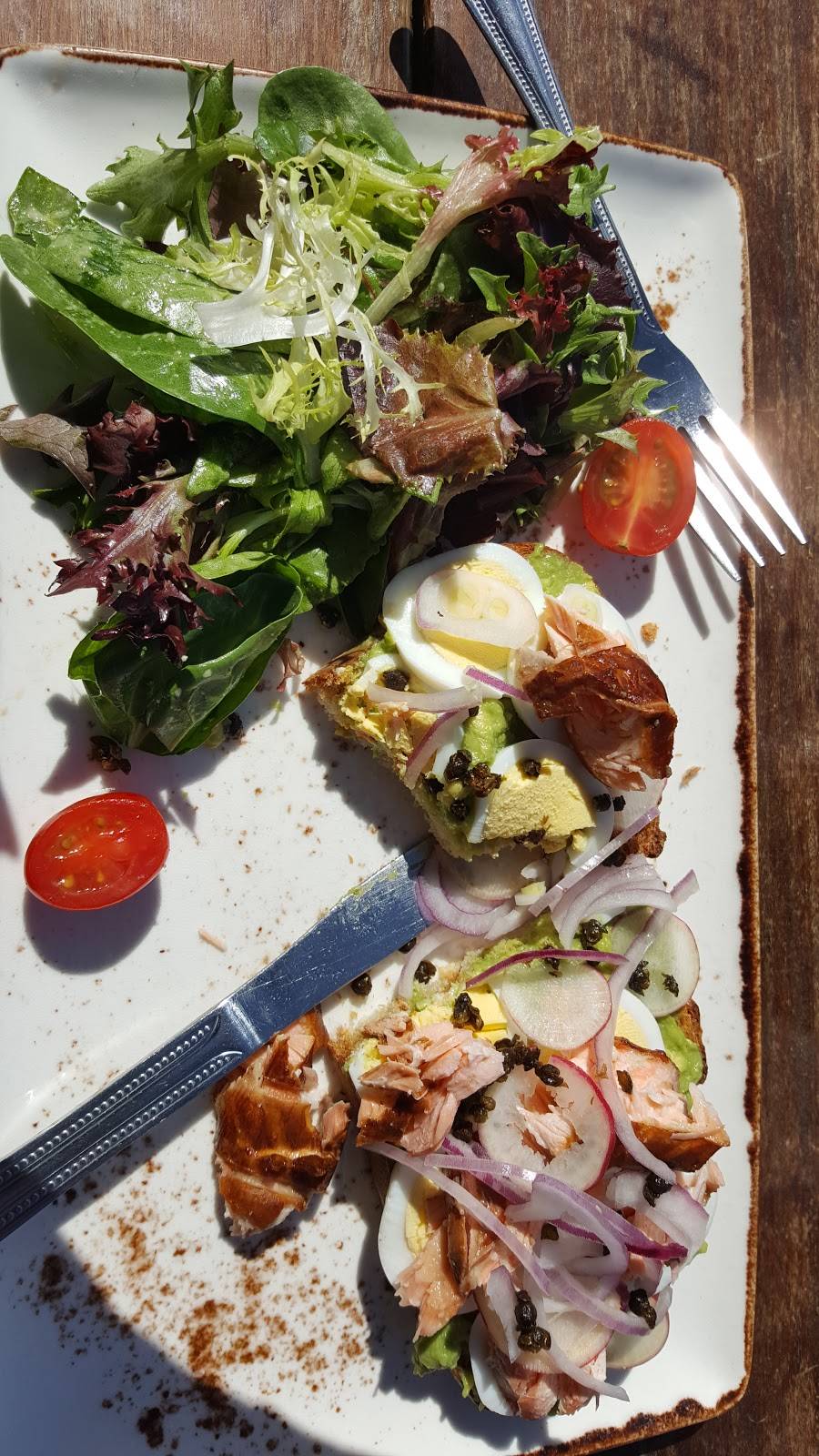 OB Surf Lodge | restaurant | 5083 Santa Monica Ave Suite 1F, San Diego, CA 92107, USA | 6199555475 OR +1 619-955-5475