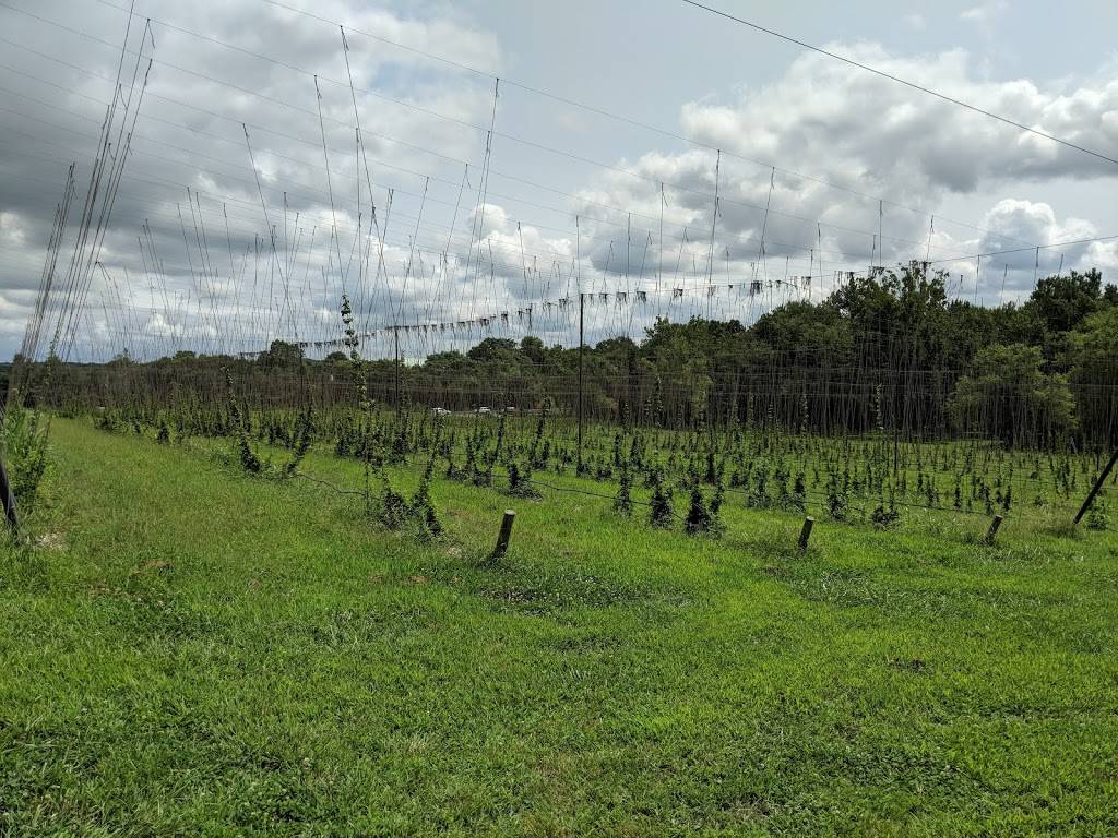 Traditional Authentic Mexican Food | restaurant | 42245 Black Hops Lane, Leesburg, VA 20176, USA | 8325406657 OR +1 832-540-6657