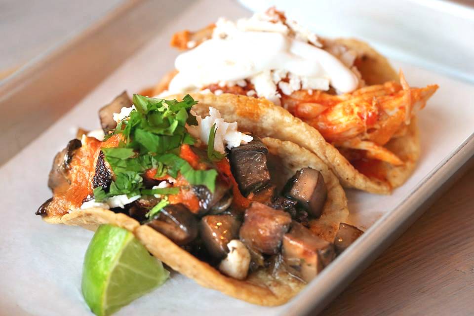 Rojo Gusano | restaurant | 4217 N Ravenswood Ave, Chicago, IL 60613, USA | 7733601628 OR +1 773-360-1628