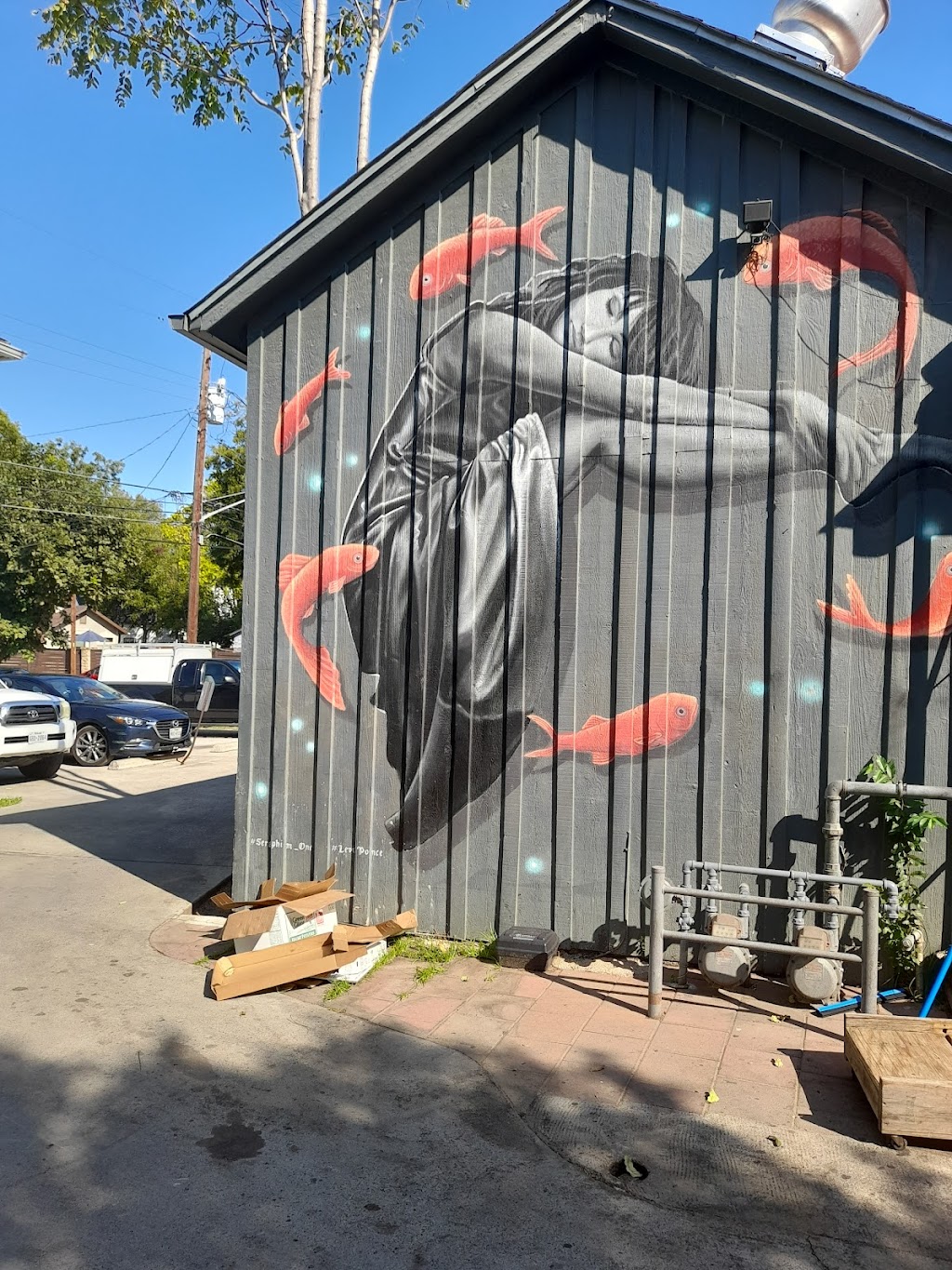 Cenote | restaurant | 1010 E Cesar Chavez St, Austin, TX 78702, USA | 5125241311 OR +1 512-524-1311