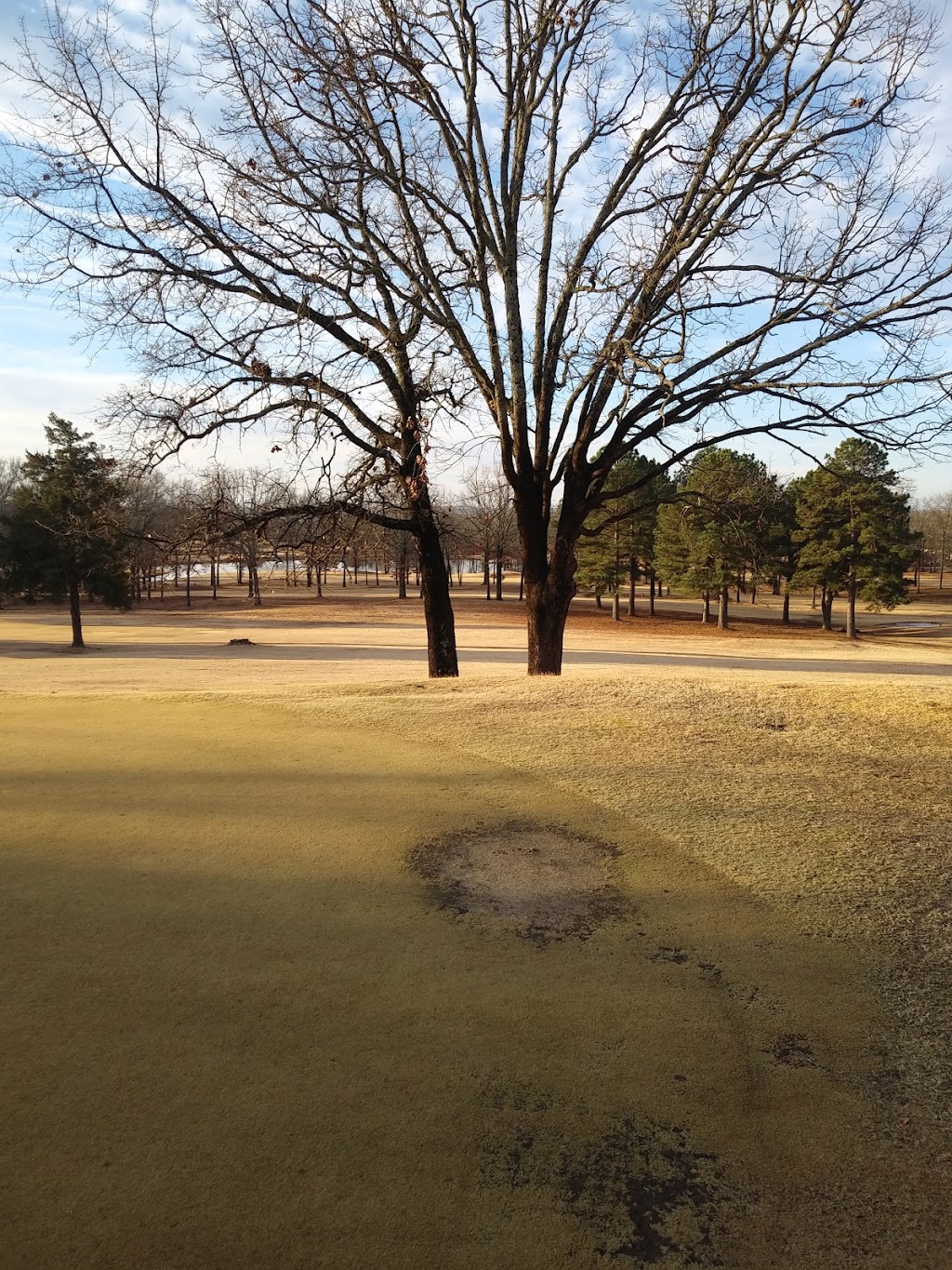 Conway Country Club | restaurant | 555 Country Club Rd, Conway, AR 72034, USA | 5013299887 OR +1 501-329-9887