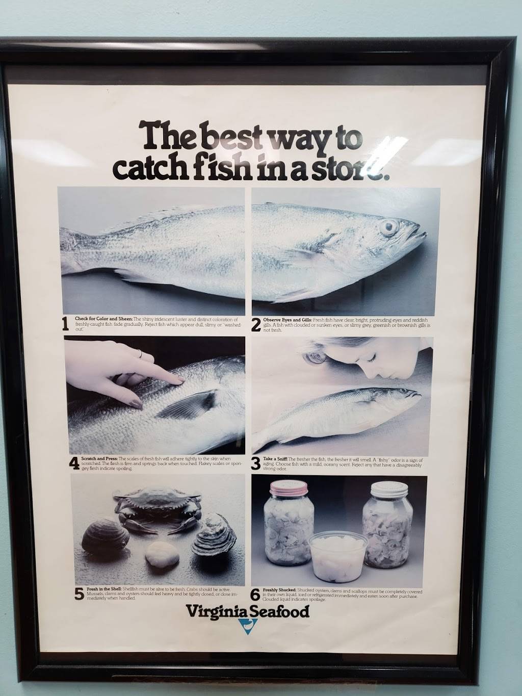 Young Seafood | restaurant | 549 Newtown Rd, Virginia Beach, VA 23462, USA | 7574974388 OR +1 757-497-4388