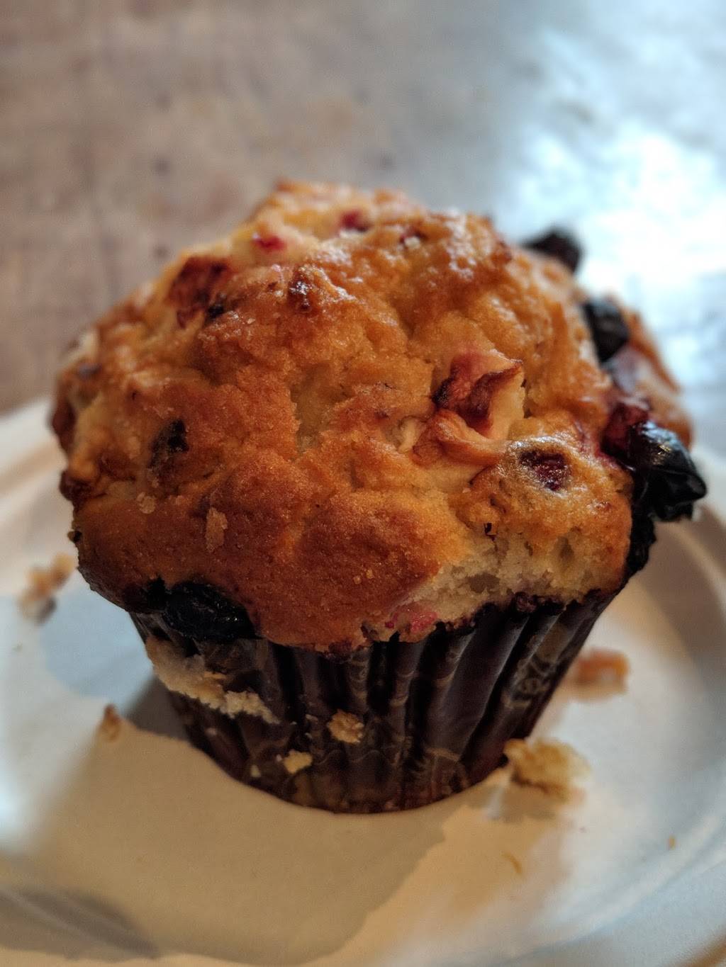 Daily Brew Coffee House | cafe | 1370 MA-28A, Cataumet, MA 02534, USA | 5085644755 OR +1 508-564-4755