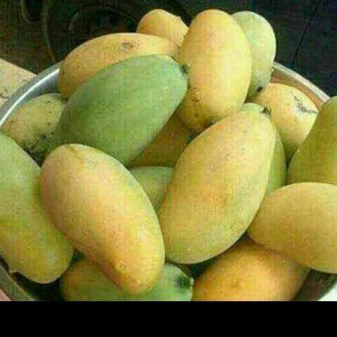 Kathys Inn Bar & Grill | restaurant | 7915 Main St, Argonne, WI 54511, USA | 7156493392 OR +1 715-649-3392