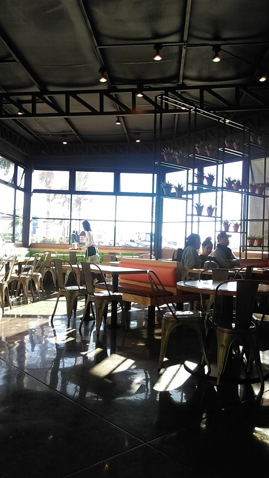 Trotas Plaza | restaurant | Escenica Tijuana-Ensenada 300, Parcelas, 80030, Parcelas, 80030 Rosarito, B.C., Mexico | 016616139094 OR +52 661 613 9094