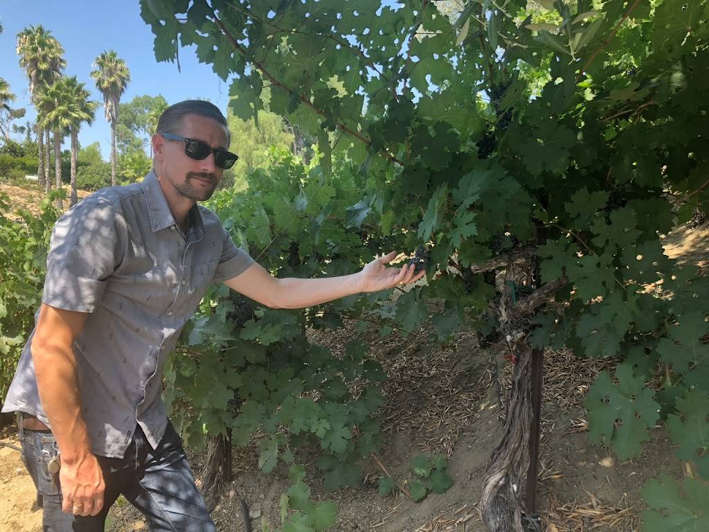 Sunrider Wine Tours | restaurant | 25170 Washington Ave, Murrieta, CA 92562, USA | 9515511516 OR +1 951-551-1516