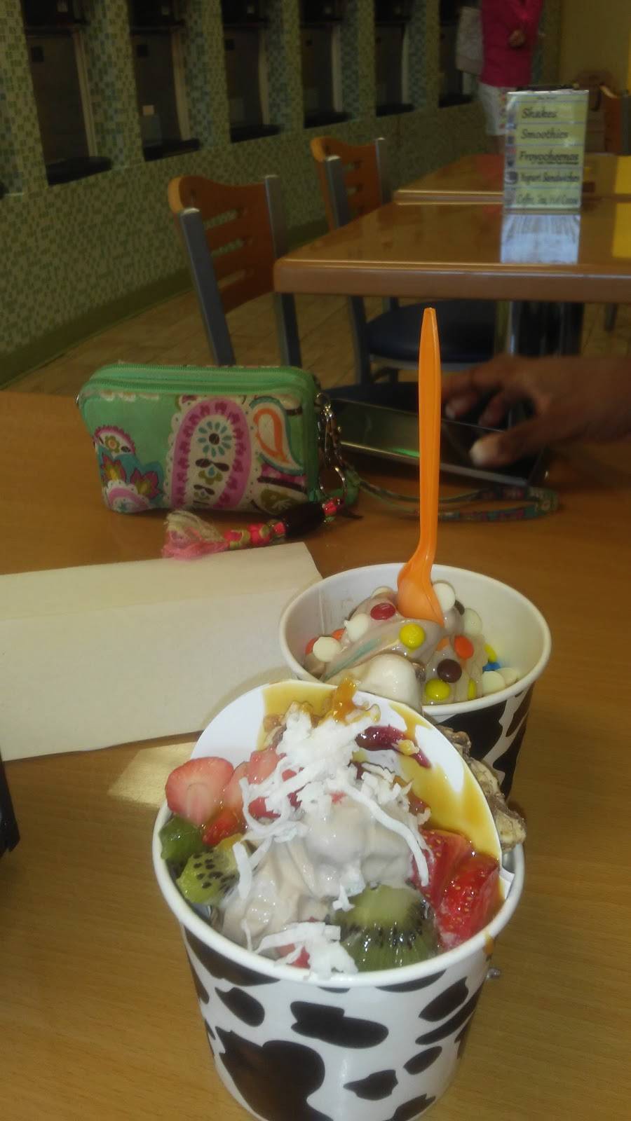 bluspoon yogurt parlor | restaurant | 704 US-441, The Villages, FL 32159, USA | 3527754078 OR +1 352-775-4078