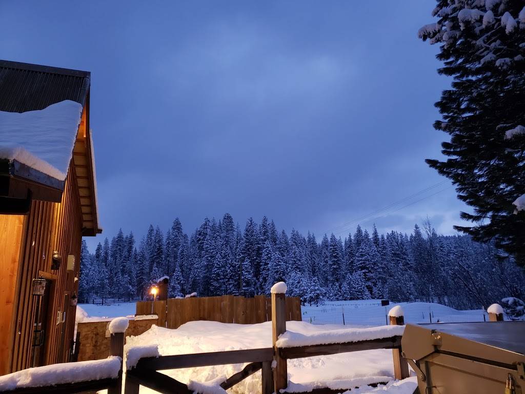 The Lube Room Saloon | restaurant | 3141 CA-4, Arnold, CA 95223, USA | 2097952118 OR +1 209-795-2118