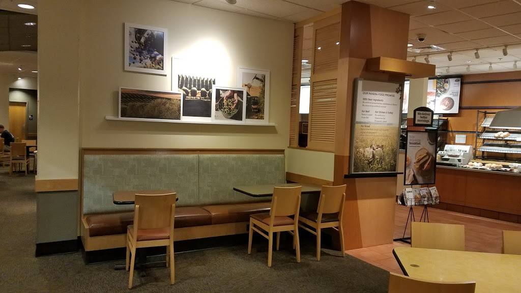 Panera Bread | cafe | 13740 Beach Blvd, Jacksonville, FL 32224, USA | 9048218211 OR +1 904-821-8211